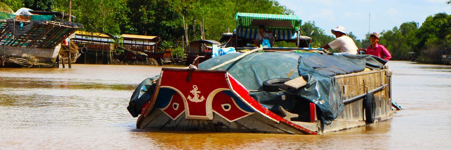 Mekong Delta Exploratory Research