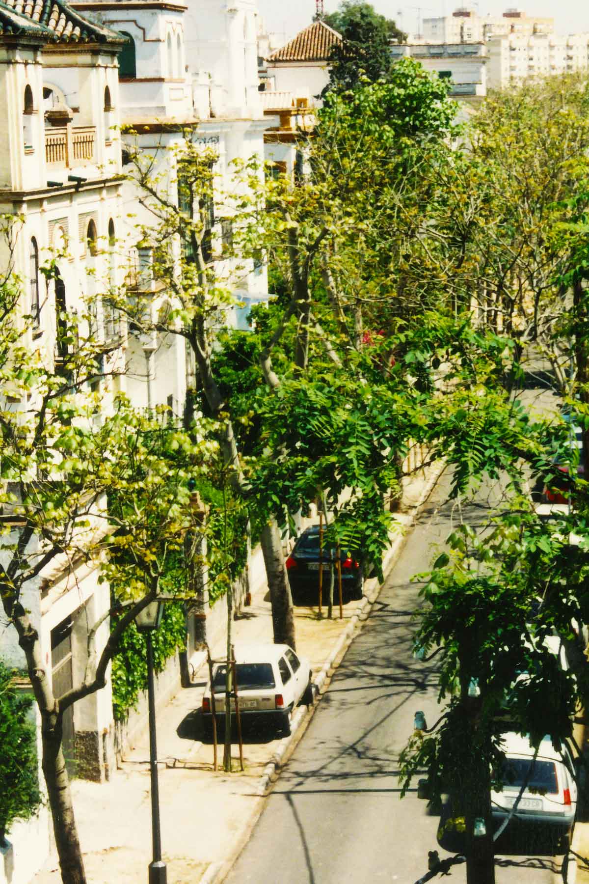 Porvenir Apartment - Spring Semester - Seville Spain - Study Abroad Journal - Steven Andrew Martin - 1998