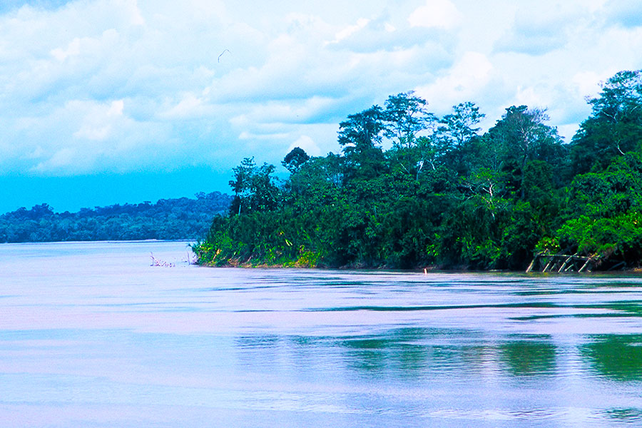 Amazon Rainforest Ecuador - Steven Andrew Martin - Jewel of Travel - Study Abroad