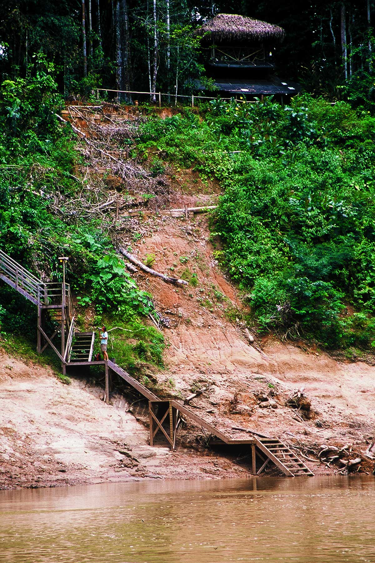 Tiputini Biodiversity Station | Dr. Steven Andrew Martin | Amazon Photo Journal 2003 | Ecuador Amazonia | Yasuni National Park