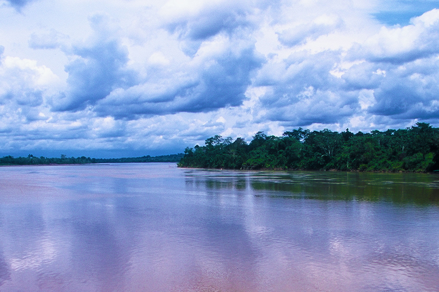 Rio Napo | Tiputini Biodiversity Ecuador | Amazon Rainforest Photo Journal | Dr. Steven Andrew Martin | Environmental Studies