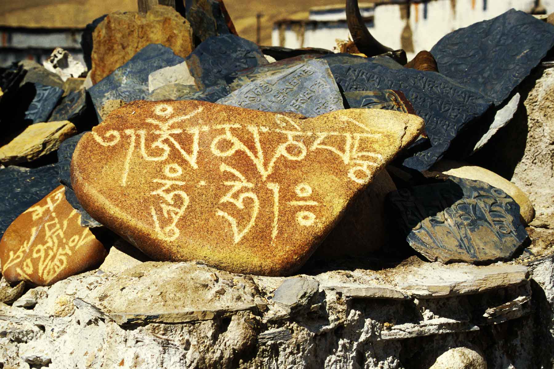 Prayer stones at a Tibetan village | Tibet Study Abroad Journal | Surf Doctor Steven Andrew Martin